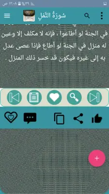 تفسير الرازي android App screenshot 1